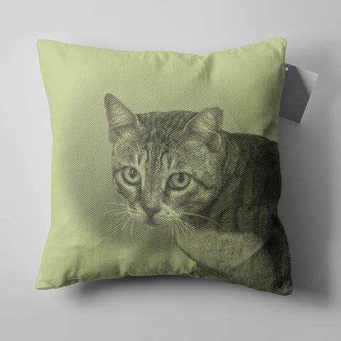 throw pillows - lime - includes your pet design