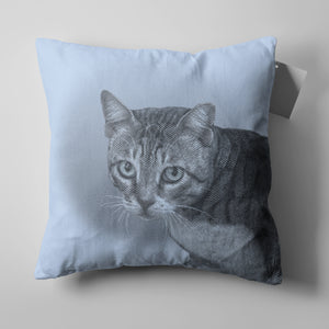 throw pillows - sky - includes your pet design